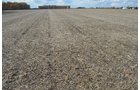 Property photo 36 - 75.3 Acres Offered in 2 Tracts